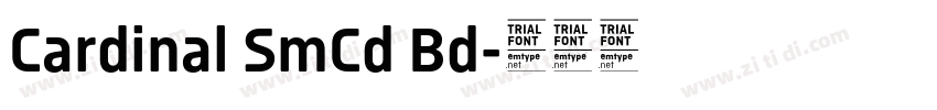 Cardinal SmCd Bd字体转换